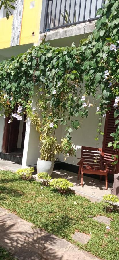 Bed and Breakfast Mandara Rest Hikkaduwa Exterior foto