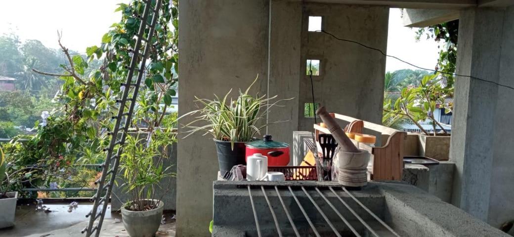 Bed and Breakfast Mandara Rest Hikkaduwa Exterior foto